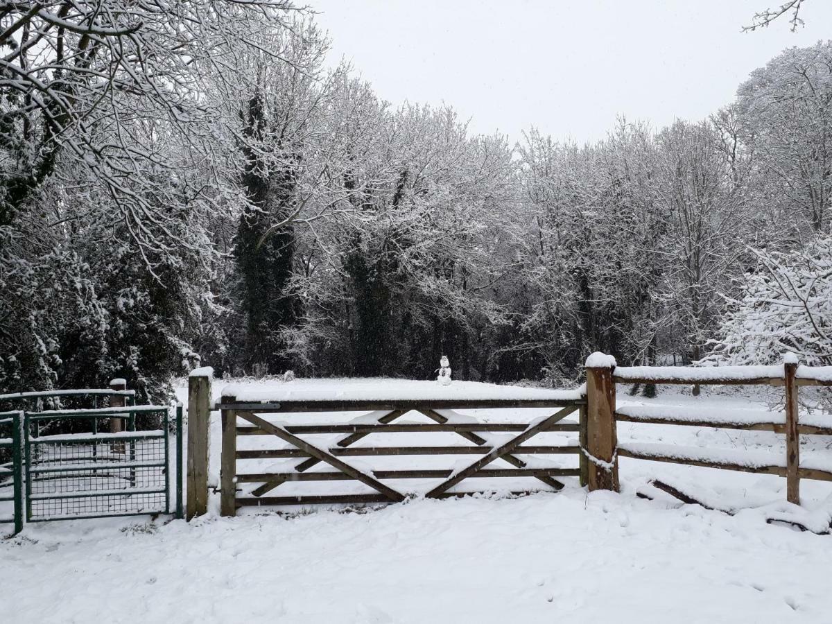 The Mills Guesthouse Hatfield  Esterno foto